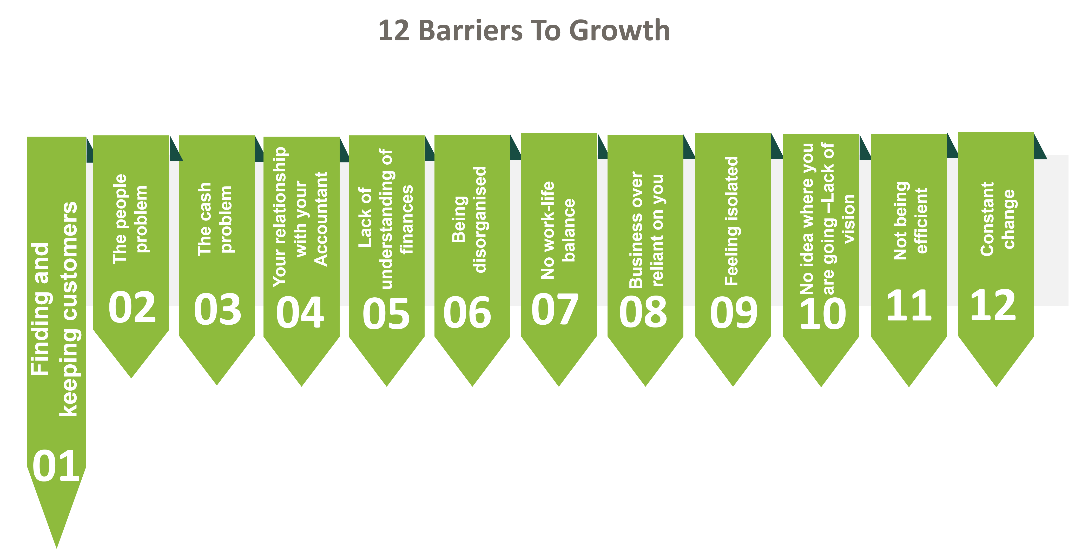 12 barriers to growth infographic